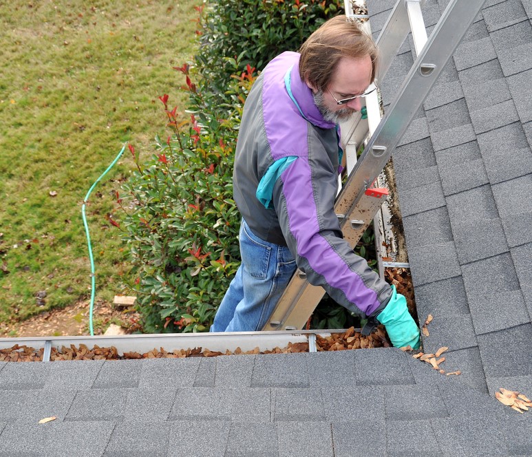 Nettoyage et entretien du toit lors du printemps